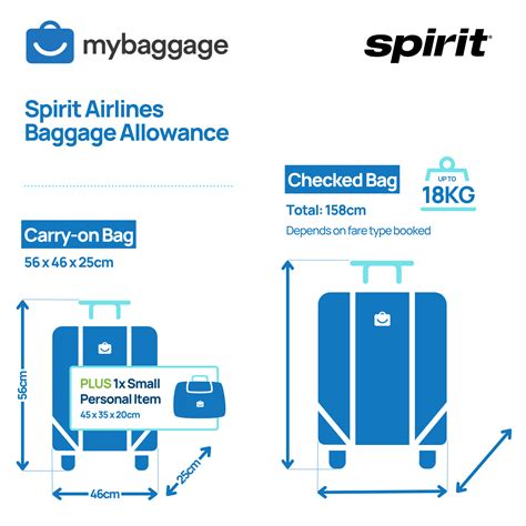 cost of checked bag on spirit